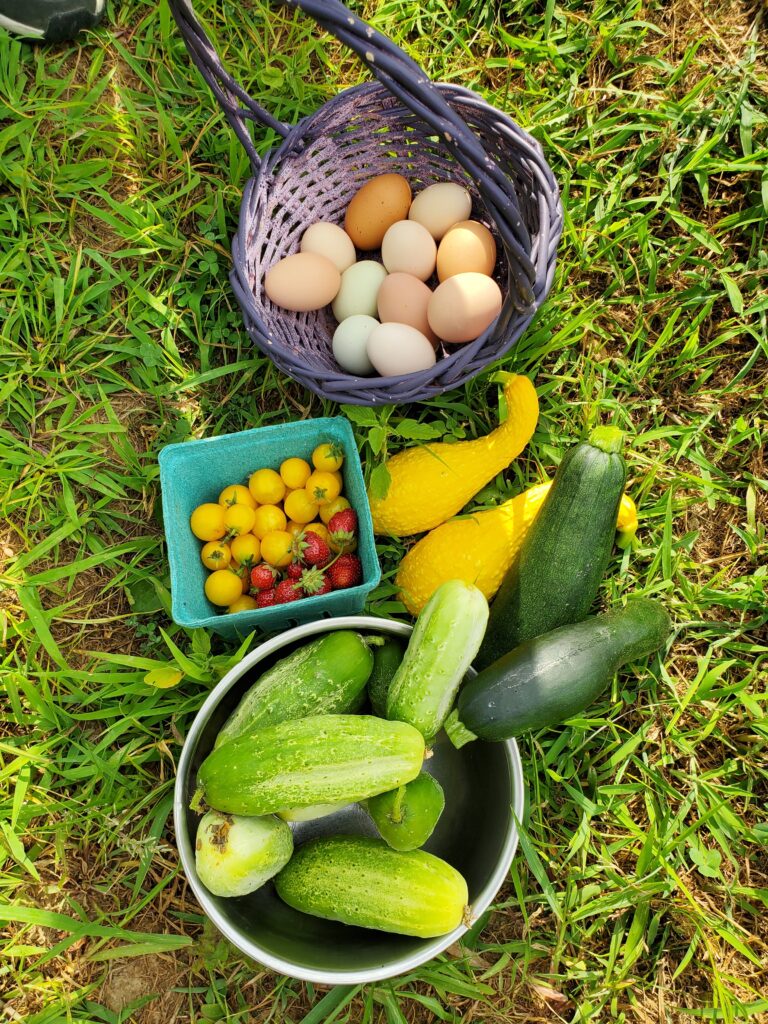 Local Farms & Growers in Evansville and Southern Indiana