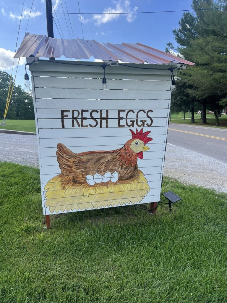 farm fresh eggs Evansville IN
